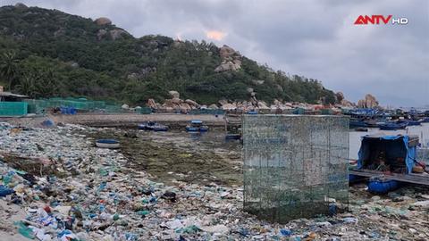 Thảm họa biển đến từ nhựa dùng 1 lần