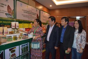 Cần đẩy mạnh phát triển cà phê Việt Nam chất lượng cao