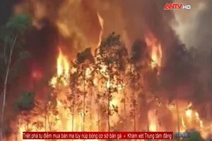 Argentina: Cháy rừng do hạn hán, nắng nóng kéo dài