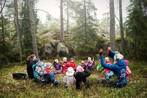  Mô hình trường mẫu giáo trong rừng ở Bắc Âu