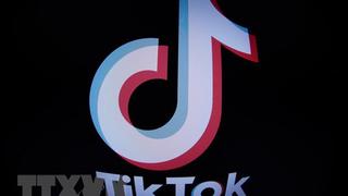  Chính phủ Hà Lan cấm cài đặt TikTok trên điện thoại công vụ