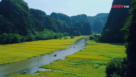 Người Việt trẻ với mạch nguồn văn hóa dân tộc