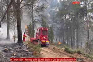 Tây Ban Nha: Cháy rừng gây thiệt hại nặng nề