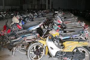 TP. Hồ Chí Minh sẽ bán đấu giá xe vi phạm quá hạn
