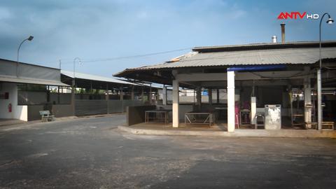 Cấp thiết kiểm soát giết mổ động vật