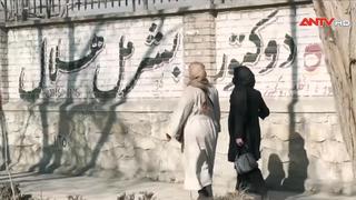 Chính quyền Taliban cấm phụ nữ làm việc cho phái bộ LHQ