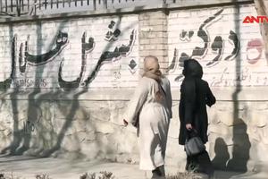 Chính quyền Taliban cấm phụ nữ làm việc cho phái bộ LHQ