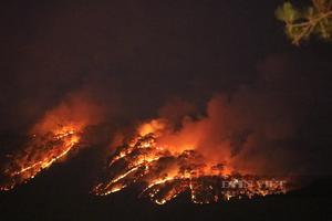 Nỗ lực dập đám cháy rừng trên đèo Prenn Đà Lạt