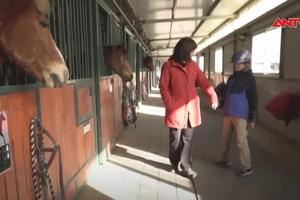 Học cưỡi ngựa để điều trị tự kỷ