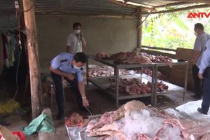 Đồng Nai: Bắt cơ sở chế biến hơn 1,7 tấn thịt lợn bốc mùi 