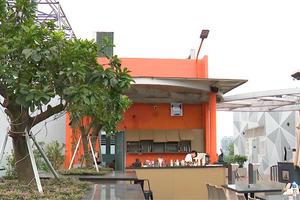 Mô hình quán cafe cây xanh thu hút cộng đồng