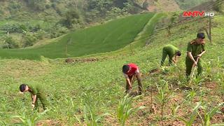 Cuộc sống đổi thay ở Thượng Nông