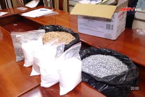 Phá đường dây ma túy từ châu Âu về Việt Nam, thu giữ hơn 60kg ma túy tổng hợp 