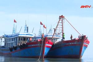 Bắt các tàu cá công suất lớn đánh bắt giã cào trái quy định
