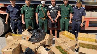 Vận chuyển pháo và gỗ trái phép từ Lào về Việt Nam