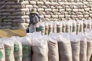 Giá gạo xuất khẩu cao kỷ lục