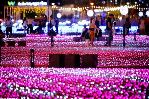 500 nghìn đèn LED thắp sáng bờ tây cầu Rồng Đà Nẵng