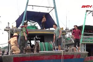 Hỗ trợ tàu đánh cá về nơi tránh trú bão an toàn