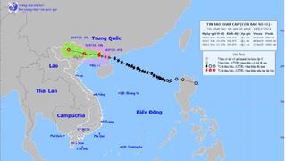 Bão số 1 áp sát Móng Cái, gió giật cấp 14