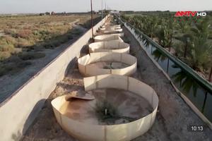 Tình trạng thiếu nước ảnh hưởng đến sinh kế của người dân Iraq 