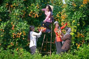 Du lịch nhà vườn giải quyết nhiều lao động tại Đồng Nai