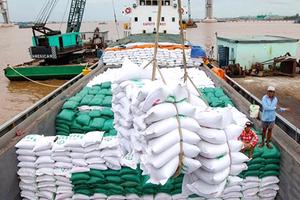 Trình Thủ tướng ban hành Chỉ thị tăng cường xuất khẩu gạo trong tình hình mới