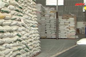 Xuất khẩu gạo Việt Nam: Cơ hội và thách thức