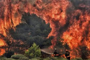 Cháy rừng tại Hawaii: Ít nhất 93 người chết, thiệt hại lên tới 6 tỷ USD