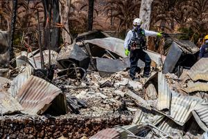 Hành trình tìm kiếm người thân mất tích sau cháy rừng ở Hawaii