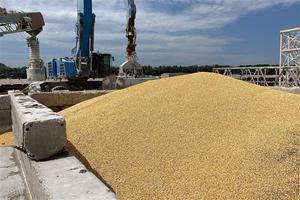 Nhiều nước đàm phán thiết lập tuyến xuất khẩu ngũ cốc Ukraine