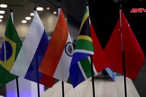 Định vị vai trò của BRICS trong thế giới nhiều biến động