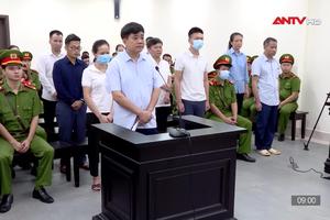 Hôm nay, tuyên án bị cáo Nguyễn Đức Chung trong vụ cây xanh