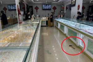   Đối tượng cướp tiệm vàng ở Hưng Yên bị bắt tại Nghệ An