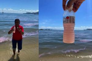 Nước biển tại Malaysia bất ngờ chuyển màu hồng