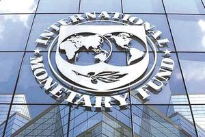  IMF đánh giá hiệu quả sử dụng Quyền rút vốn đặc biệt