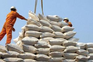 Xuất khẩu gạo 8 tháng 2023 tăng hơn 30% về giá trị