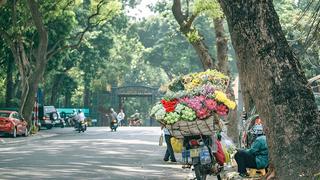 Nét riêng của mùa thu Hà Nội