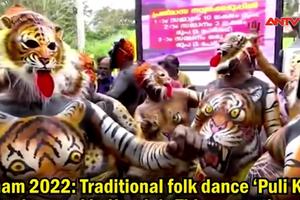 Đặc sắc lễ hội Onam ở Ấn Độ