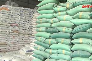 Xuất khẩu gạo đạt kỷ lục trong 8 tháng