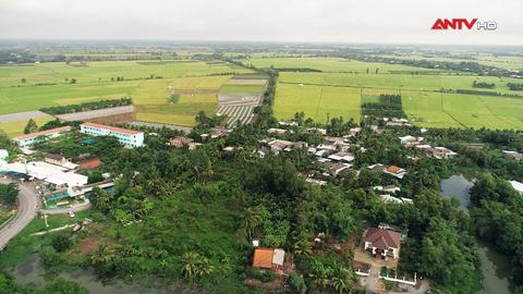 Bình yên Phú Mỹ