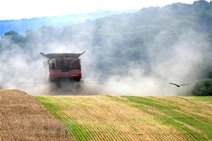 Bốn nước Trung Âu muốn rà soát hành lang ngũ cốc Ukraine