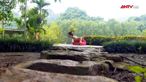 Yoga - Bài tập cho cột sống khỏe mạnh