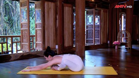Yoga - Bài tập giúp giải tỏa căng thẳng, mệt mỏi