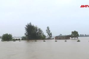Mưa lớn gây thiệt hại, ngập úng nhiều nơi ở miền Trung