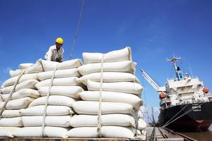 Giá gạo Việt Nam tăng cao