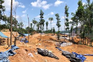 Tái diễn tình trạng khai thác vàng trái phép ở Bồng Miêu