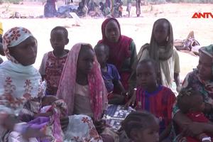 Liên hợp quốc kêu gọi chấm dứt chiến sự ở Sudan