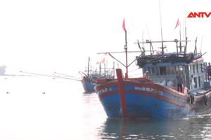 Xử lý nghiêm các phương tiện tàu cá đánh bắt xa bờ vi phạm