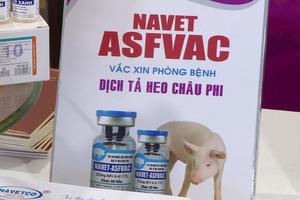 Việt Nam xuất khẩu vaccine phòng dịch tả lợn châu Phi