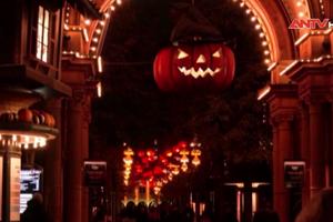 Thủ đô Copenhagen ngập tràn sắc cam của lễ hội Halloween